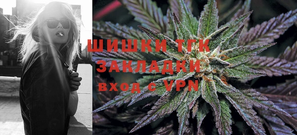 крисы Осташков