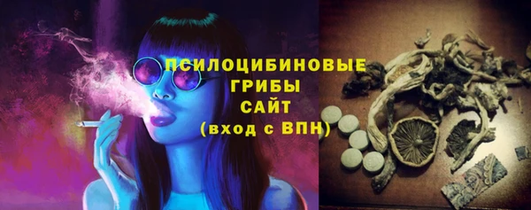крисы Осташков